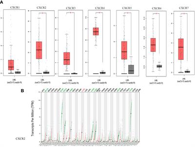 Risk Stratification in Acute Myeloid Leukemia Using CXCR Gene Signatures: A Bioinformatics Analysis